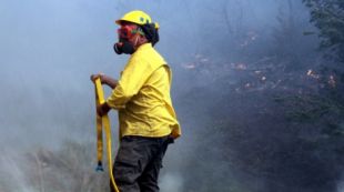 adf, incendi, jonquera