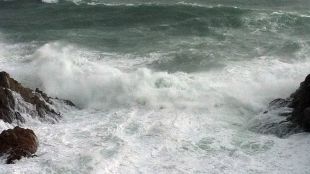 temporal, vent, daro