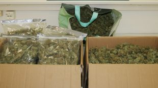 marihuana, matrimoni