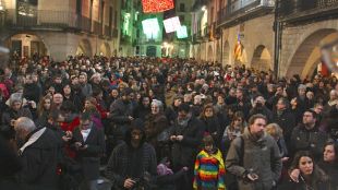 manifestació, somescola, wert