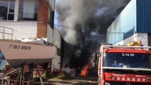 incendi, contenidors, port, selva