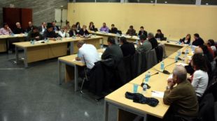 consell, plenari, febrer, 2013