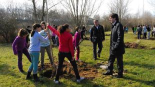 pugidemont, arbres, plantada, alumnes