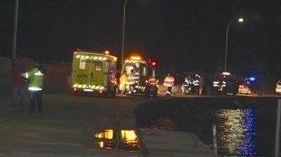 accident, espigó, roses