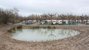 estanyol, pimpom