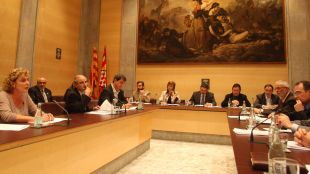 diputació, girona, ple