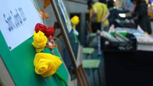 roses, grogues, educació