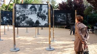 kelele, exposició, peralada
