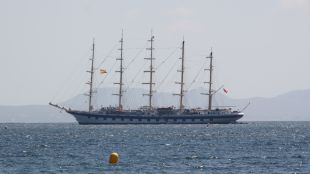 roses, veler, clipper