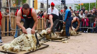 ripoll, festa, pagès, 2013