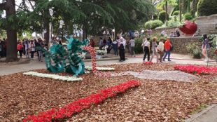 Una de les nombroses mostres del Temps de Flors © Xavier Tomàs Pavón