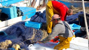 gamba, palamos, pescadors