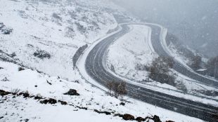 bonaigua, nevat