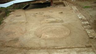 premses, sarrià, descoberta