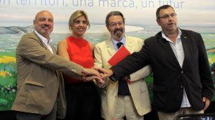presidents, consells, felip