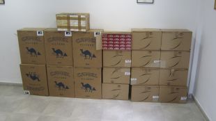 tabac, camel, intervingut