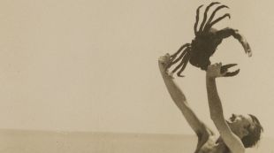 dalí, cranc
