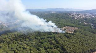 incendi, forestal, blanes, setembre, 2013