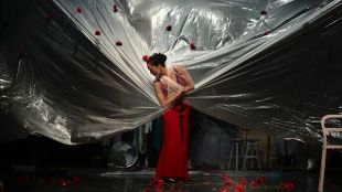 carrasco, dansa, ta2013
