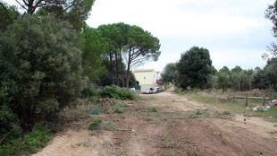 tallafocs, montgrí
