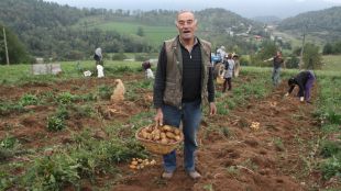 Josep Pastoret, del Mas El Carol, ha aconseguit el certificat per vendre la llavor © ACN