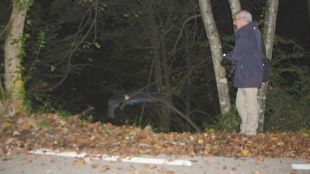 accident, vehicle, bas
