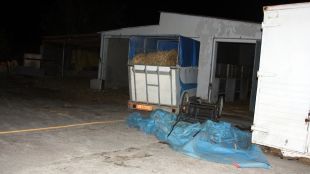 Finca de Vilamalla on aquest diumenge s'han trobat els animals morts © ACN