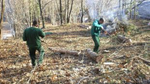Quinze persones en risc d'exclusió social realitzaran els treballs a l'Alta Garrotxa © ACN