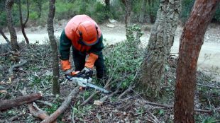 Els operaris de les brigades netejant aquest migdia una part de la carena © ACN