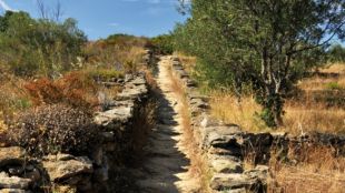 L'Ajuntament de Roses vol mantenir nets de runa els camins rurals de l'entorn urbà © ACN