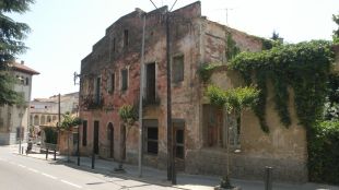 can delfí, arbúcies