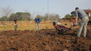 La producció de l'hort anirà a parar a la Sopa