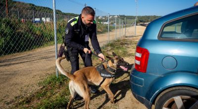 Lloret acull 25 gossos d'Unitats Canines en unes jornades amb policies d'arreu de Catalunya