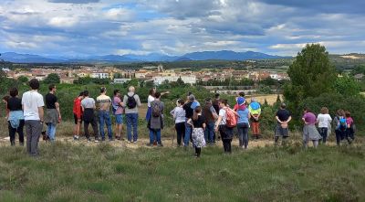 Recorren de nou el projecte de la variant de Vilafant per l’impacte sobre el Manol