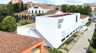 Un estudi de l’IDIBGI detecta diferències entre homes i dones en la depressió i la microbiota