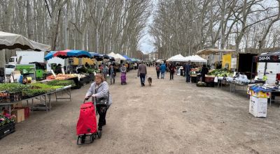 Vox recorre al TSJC el reglament del mercat de la Devesa de Girona