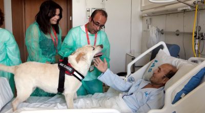 Pacients en final de vida o amb pronòstic incert reben la visita del seu gos a l'hospital de Salt