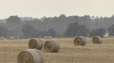 Una tempesta deixa 123 litres per metre quadrat en tres hores a Anglès