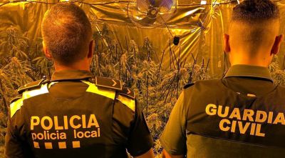 Quatre detinguts a Caldes per tenir més de 300 plantes de marihuana i 12 quilos de cabdells