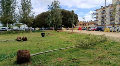 L'Ajuntament de Salt planta 163 nous arbres al parc Monar