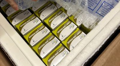 Agricultura amplia a 130.000 caps de bestiar la vacunació contra la DNC