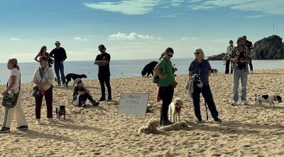 Blanes destina un espai per a gossos a la Platja del Centre entre protestes de veïns
