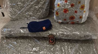 Un detingut amb 33 kg de marihuana al cotxe en una àrea de servei a la Jonquera