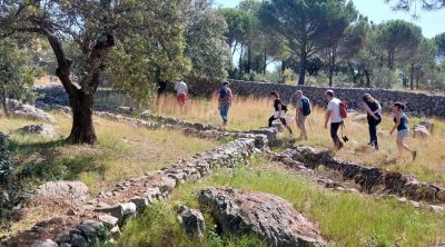 Impulsen 30 actuacions per millorar la biodiversitat en espais naturals de l’Alt Empordà