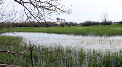 Els Aiguamolls construeixen un cargol d’Arquimedes per garantir l’aigua als estanys del Matà
