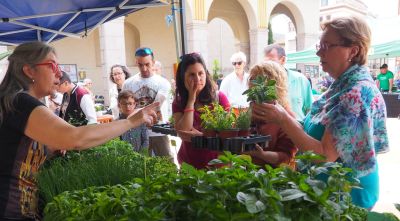 El Mercat de les Herbes de la Ratafia torna a Santa Coloma amb propostes silvestres