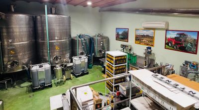 Clos de la Torre rellança la producció d’oli a l’Alt Empordà amb suport de l’ICF