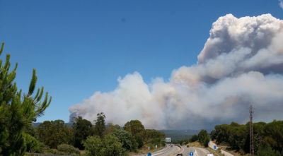 Una radial utilitzada sense permís apunta com a origen del foc de la Bisbal
