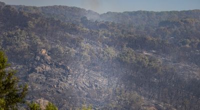 ''S’ha anat tard'': les Gavarres exigeixen més recursos després del gran incendi