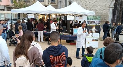 La Nit Europea de la Recerca omplirà Girona i Blanes de ciència